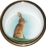 Mountain Hares Inside Lid